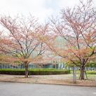 Kisho-Kurokawa-National-Art-Center-Tokyo-Markus-Kaiser-7336