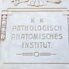 anatomie-meduni-lkh-graz-franz-und-sue-markus-kaiser-26-5523