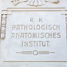 anatomie-meduni-lkh-graz-franz-und-sue-markus-kaiser-26-5523