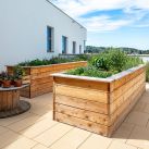 gesundheitszentrum-resilienzpark-sitzenberg-markus-kaiser-1255