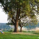 haanl-gartengestaltung-markus-kaiser-02-9664