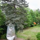 hans kupelwieser skulptur polster 04