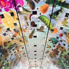 markthal-market-hall-markthalle-rotterdam-netherlands-mvrdv-c-markus-kaiser-6444
