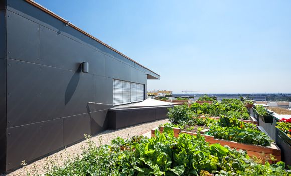 pos-architekten-baugruppe-jaspern-seestadt-aspern-markus-kaiser-2222