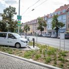 tim-griesplatz-graz-markus-kaiser-4066