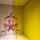 wein-und-co-wien-stephansplatz-flagshipstore-behf-architects-markus-kaiser-0606