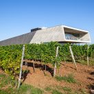 weingut-preisinger-propeller-z-markus-kaiser-9844